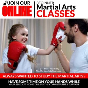 Read more about the article Online Family Martial Arts in Hawthorne
